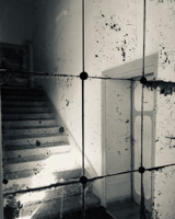 Reflet